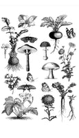 Fungi Forest | Redesign with Prima Decor Transfer