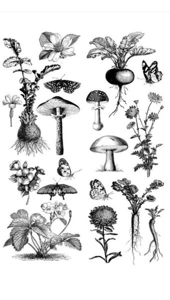 Fungi Forest | Redesign with Prima Decor Transfer