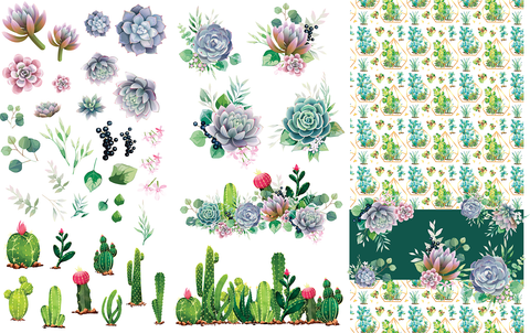 Cacti and Succulents | Belles and Whistles Decor Transfer