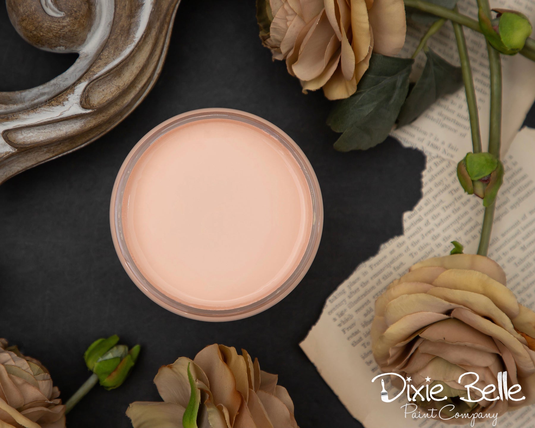 Dixie Belle Chalk Mineral Paint For The Love Creations   B42D928A 1015 4DC8 855C 35F67CB65FEE 1800x1443 