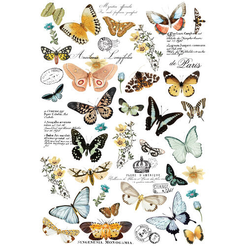 Butterfly Dance decor transfer Redesign with Prima butterflies with French print For the Love Creations Australian stockist